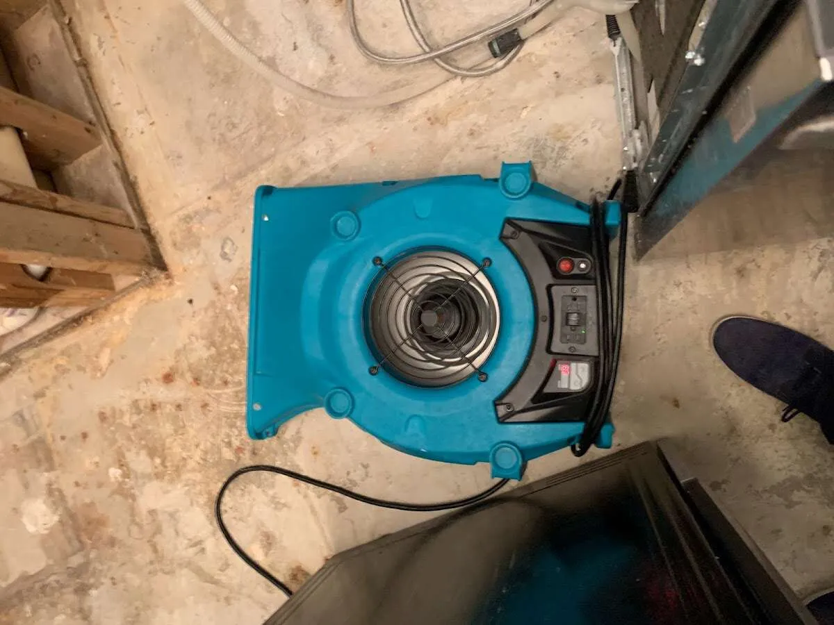 Air mover drying equipment for Mold Remediation & Removal in Hillsdale