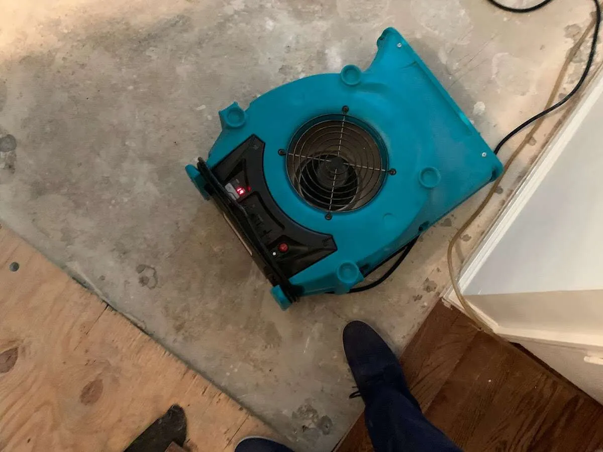 Air mover drying subfloor during Commercial Water Damage Restoration in Hillsdale